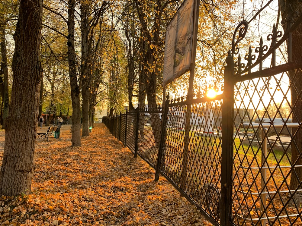 black metal fence near trees during daytime