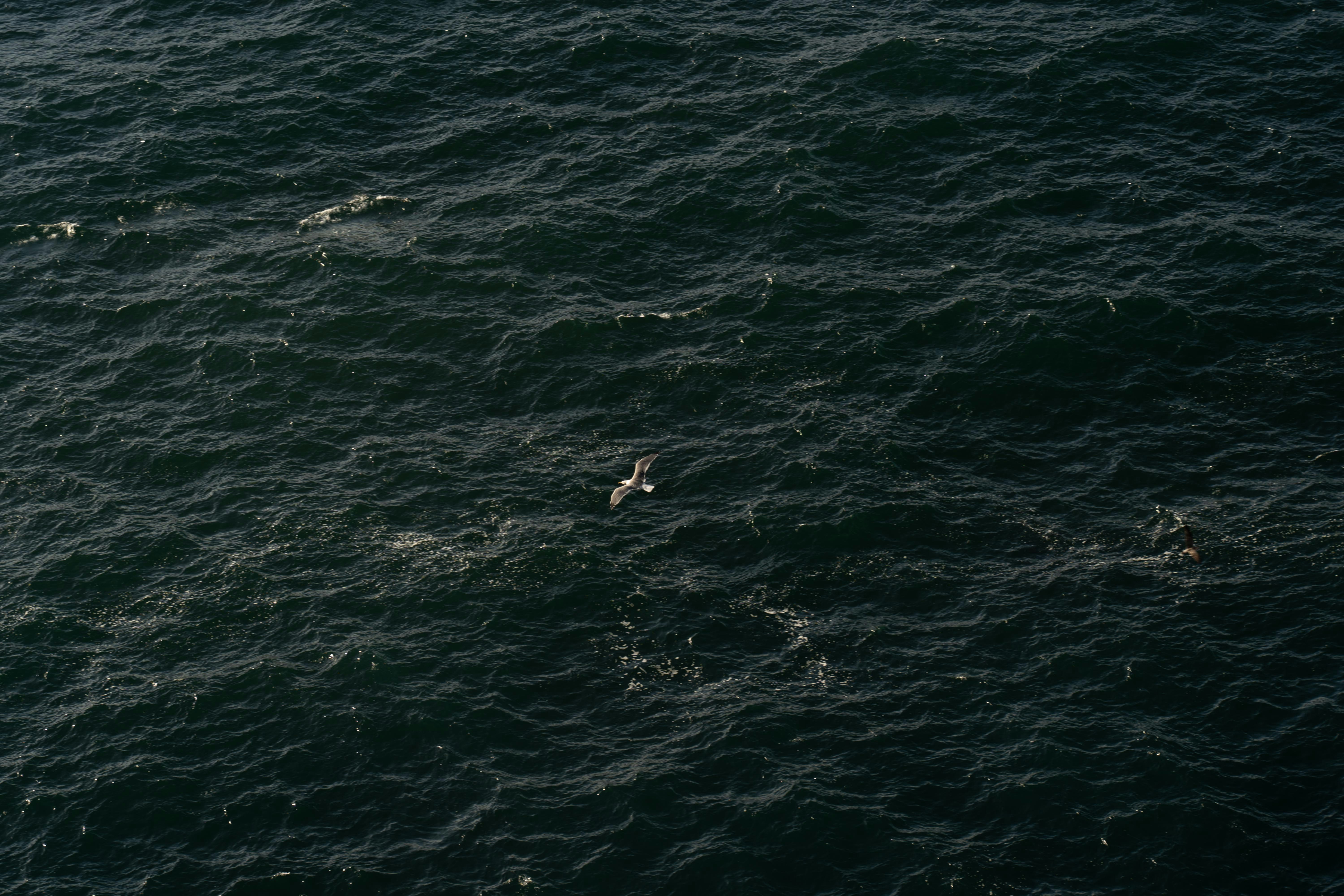 Photo by miguelmendes