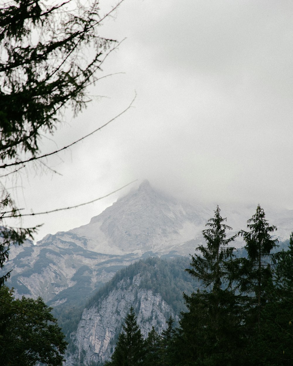 green trees near mountain during daytime