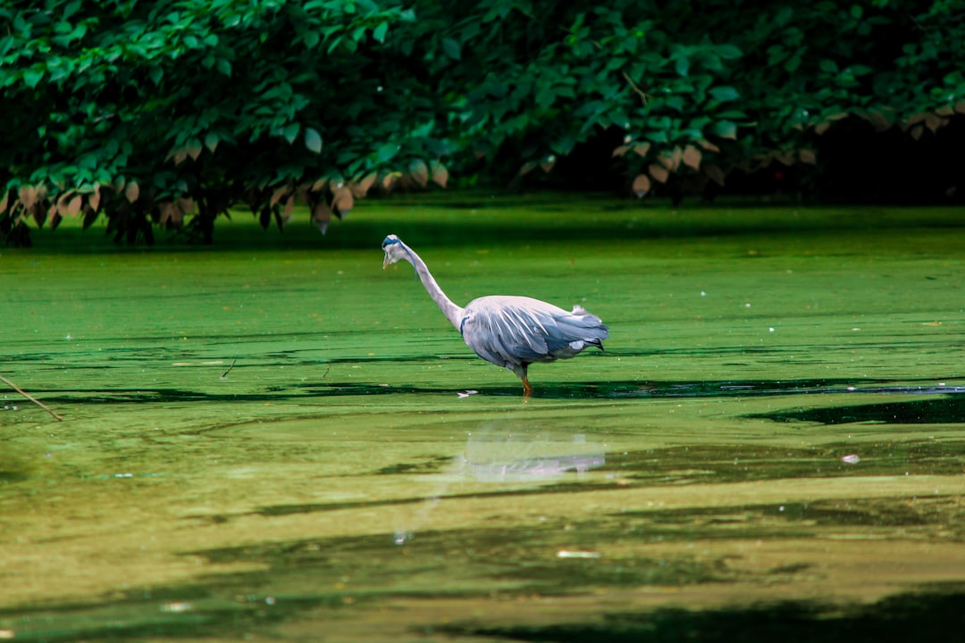 Nature reserve photo spot Amsterdam Almere Stad