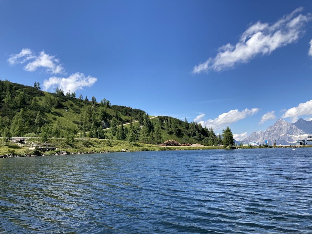 green trees on island during daytime