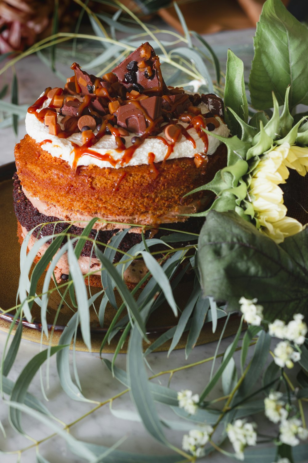 brown and white cake with chocolate on top