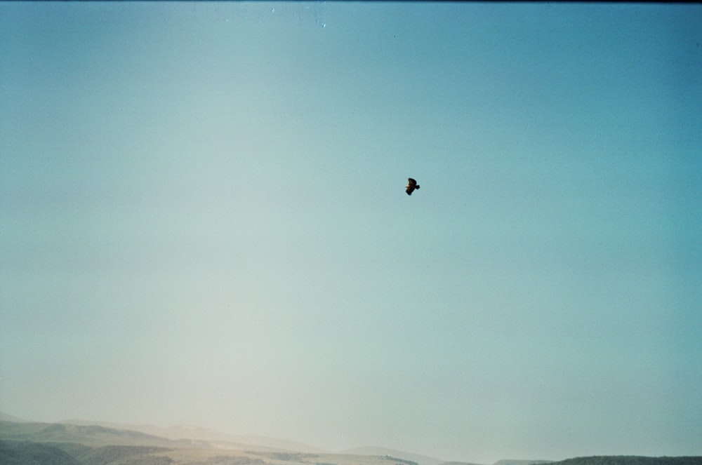 black bird flying over the clouds during daytime