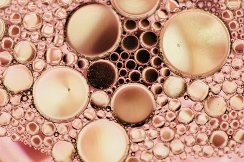 Close-up of translucent bubbles opening to reveal smaller bubbles inside.