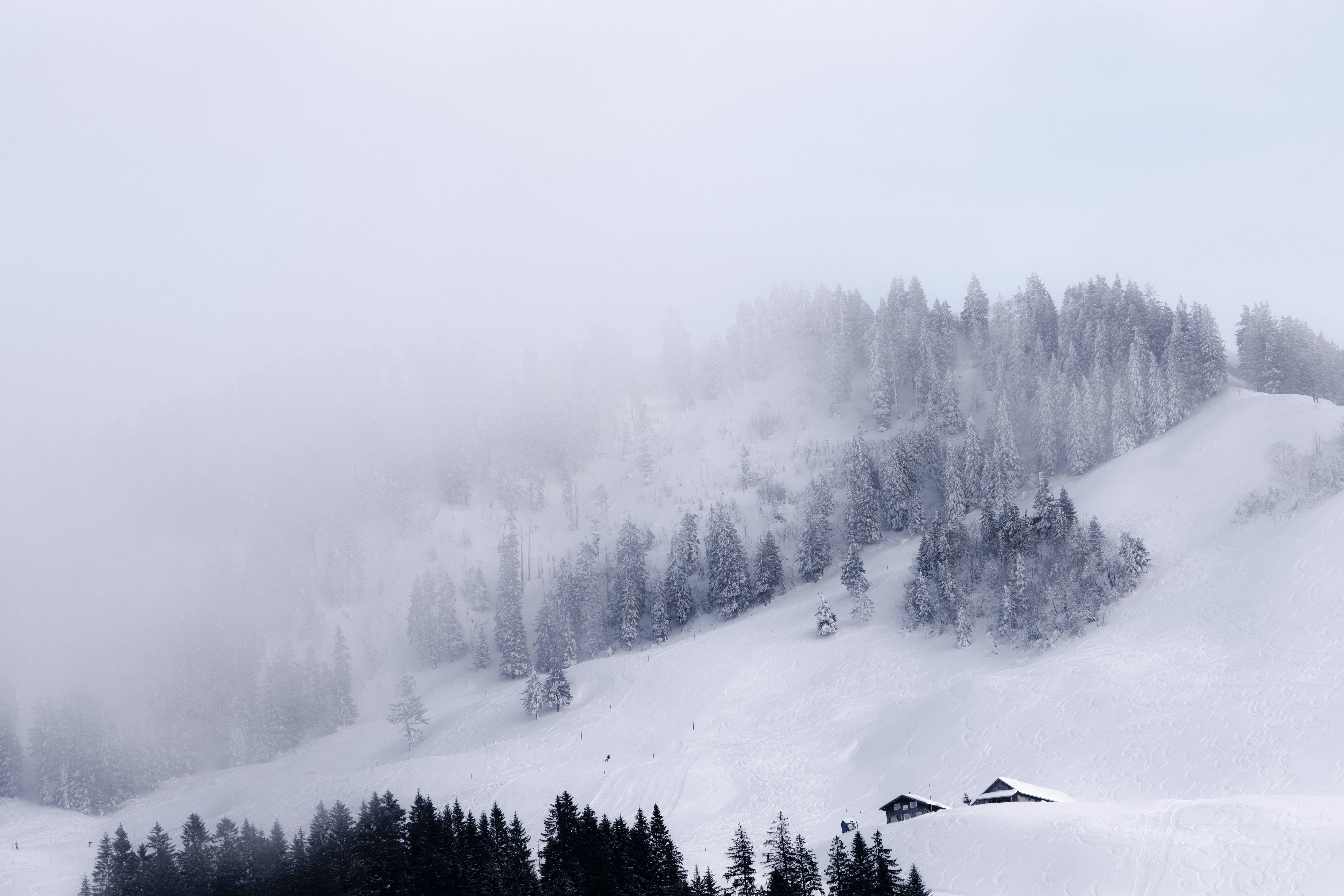 Winter is coming