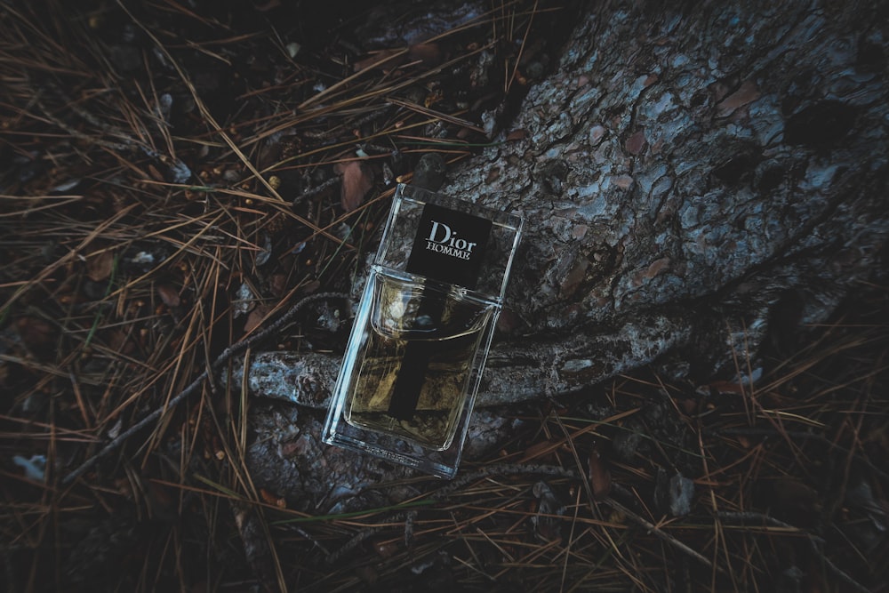 clear glass perfume bottle on brown dried leaves