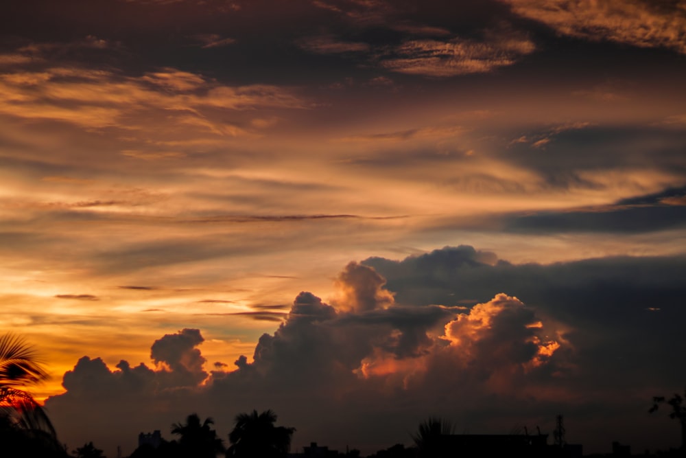 silhouette of trees under cloudy sky during sunset