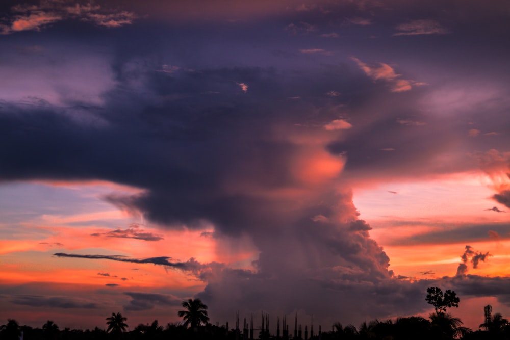 silhouette of trees under cloudy sky during daytime