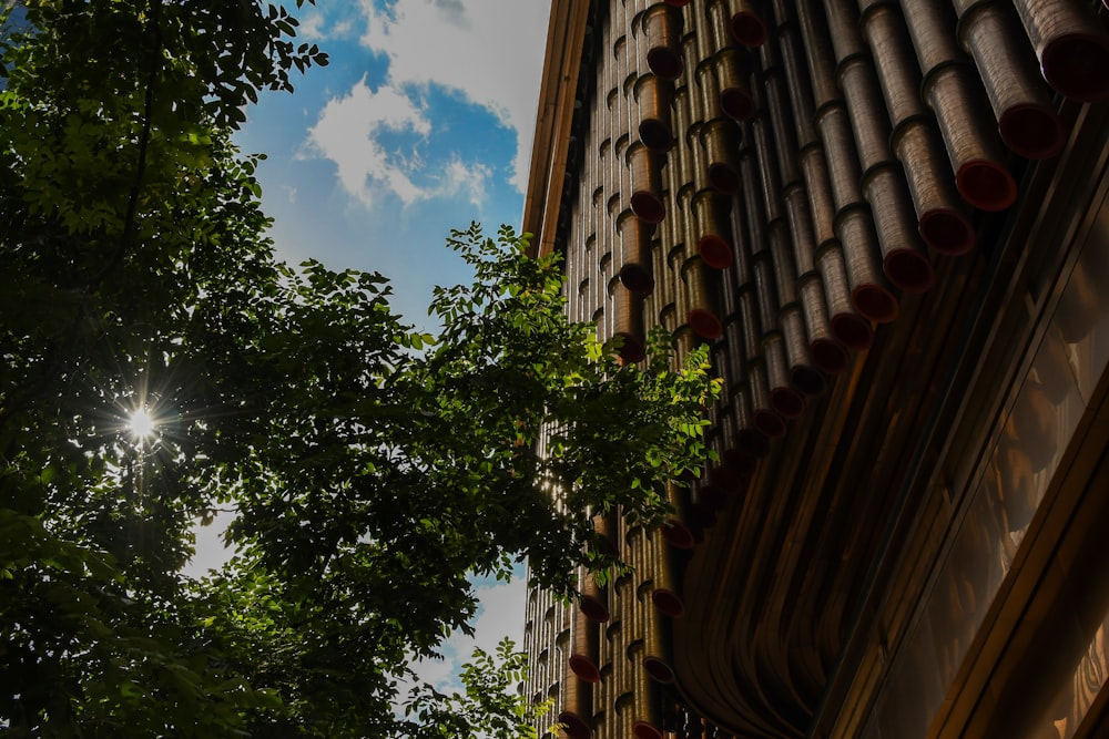 green tree beside brown concrete building during daytime