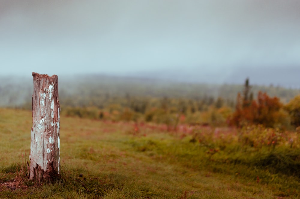 brown wooden fence on green grass field during daytime