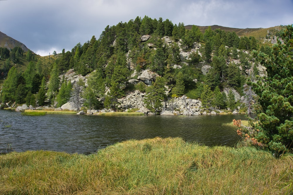 green grass field near body of water during daytime