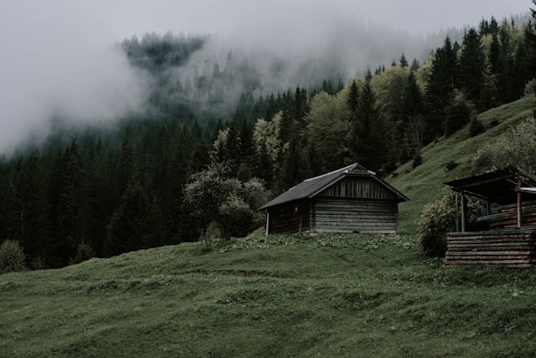 Exterior view of a rustic wooden forest cottage surrounded by dense greenery and mist.