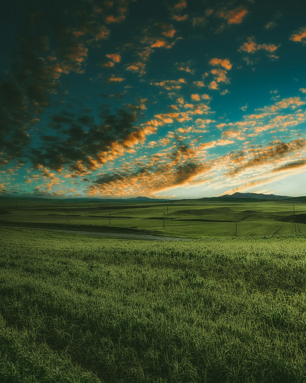 green grass field under blue sky and white clouds during daytime