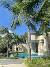 Sunlit view of the Sabal Palms condominium pool surrounded by lush tropical landscaping.