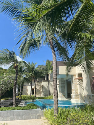 Sunlit view of the Sabal Palms condominium pool surrounded by lush tropical landscaping.