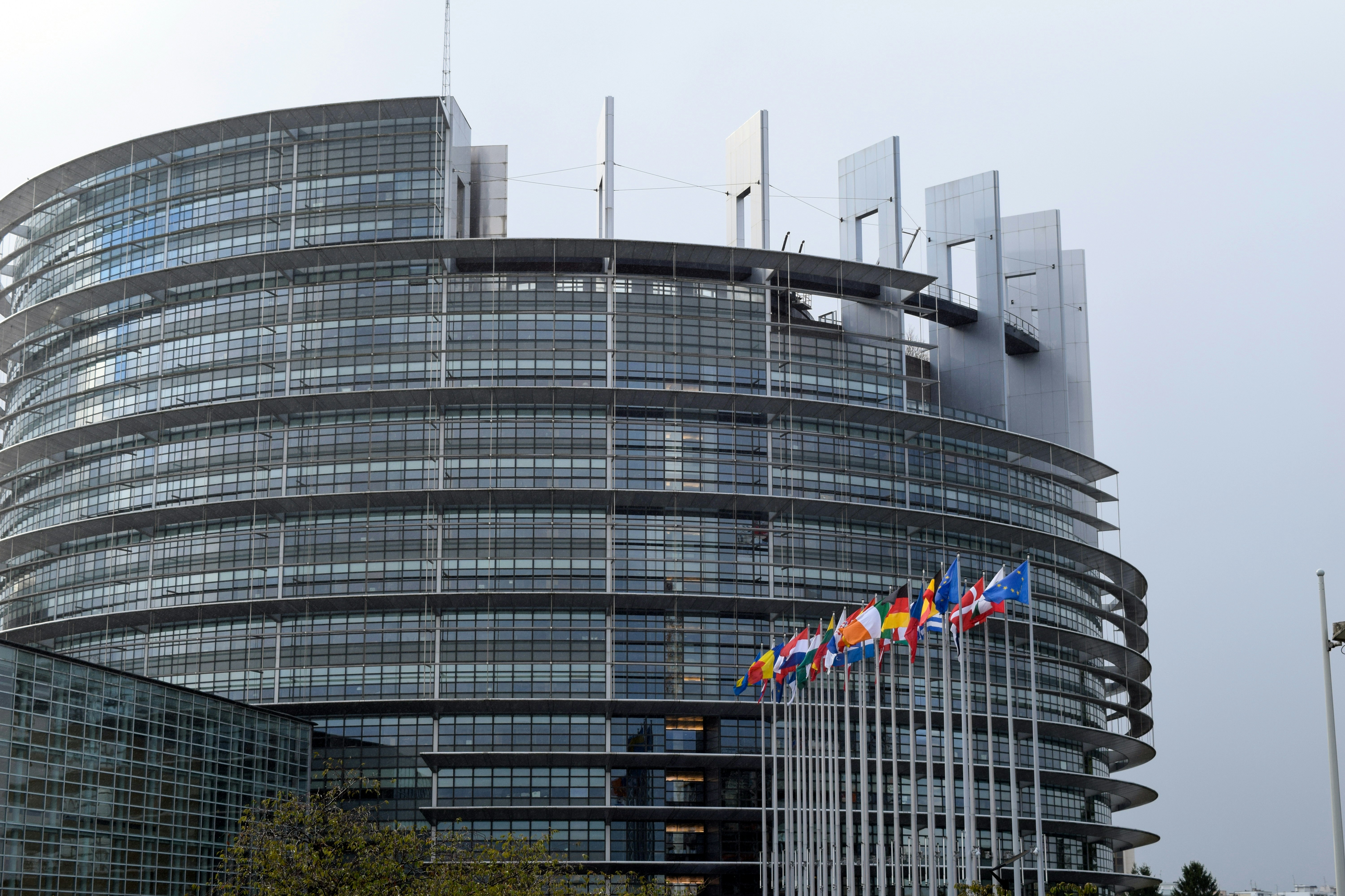 Image shows flags flying outside the European Parliament.