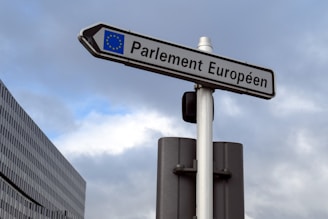 A street sign with the text 'Parlement Européen' is mounted on a pole against a backdrop of a cloudy sky. The sign also features the European Union flag. A modern building with a grid-like facade is partially visible to the left.