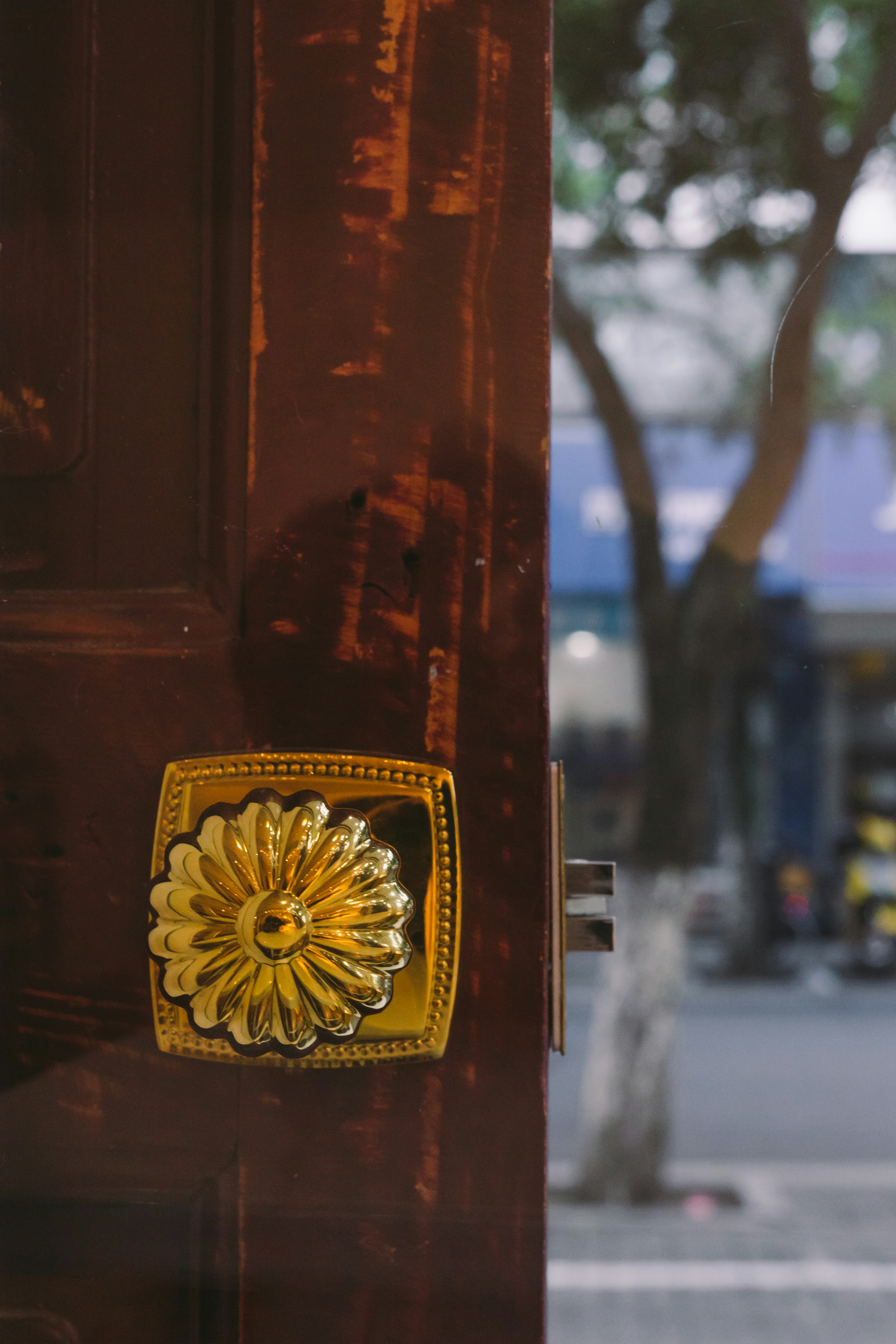 Photo by dongcheng