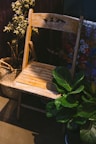 Close-up of a handmade wooden chair with woven seat, surrounded by indoor plants.