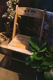Close-up of a handmade wooden chair with woven seat, surrounded by indoor plants.