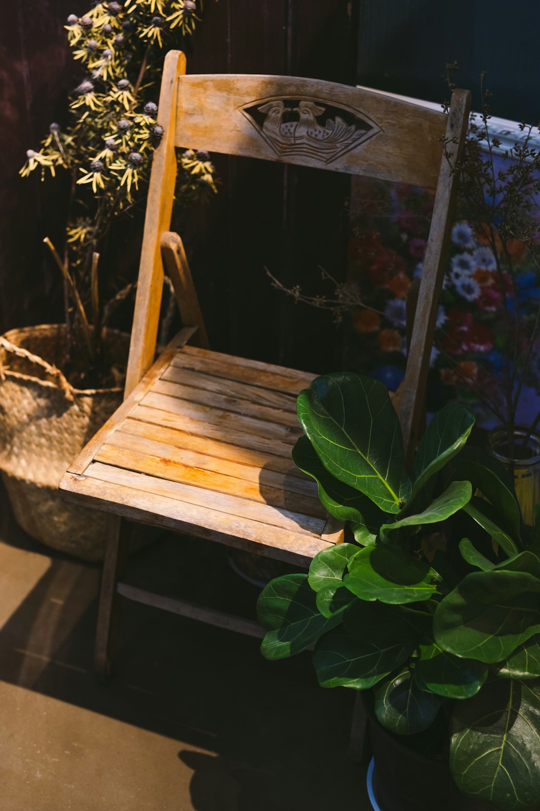 green leaves on brown wooden chair