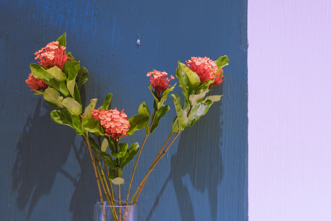 red flowers in clear glass vase