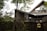 A modern wooden house with a sloped roof and large windows is partially hidden by trees and foliage. The structure has a prominent gabled roof, and the walls are made of horizontal wooden planks. An outdoor deck area with a railing is visible. A sign with Japanese characters is mounted on a stone wall at the base of the structure, suggesting it could be a restaurant or establishment.