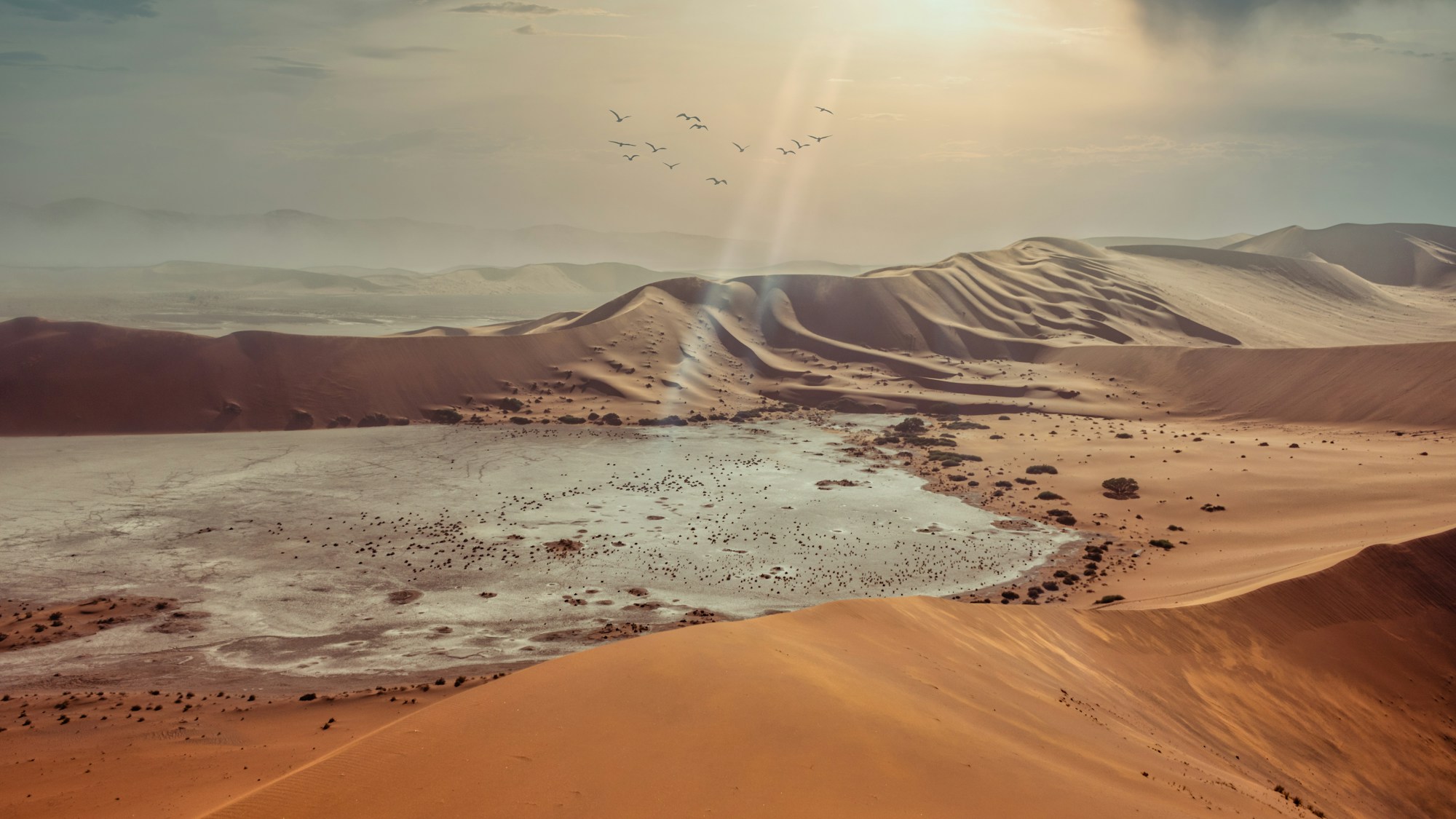 The Best Months to Visit Namibia: Weather and Season Guide