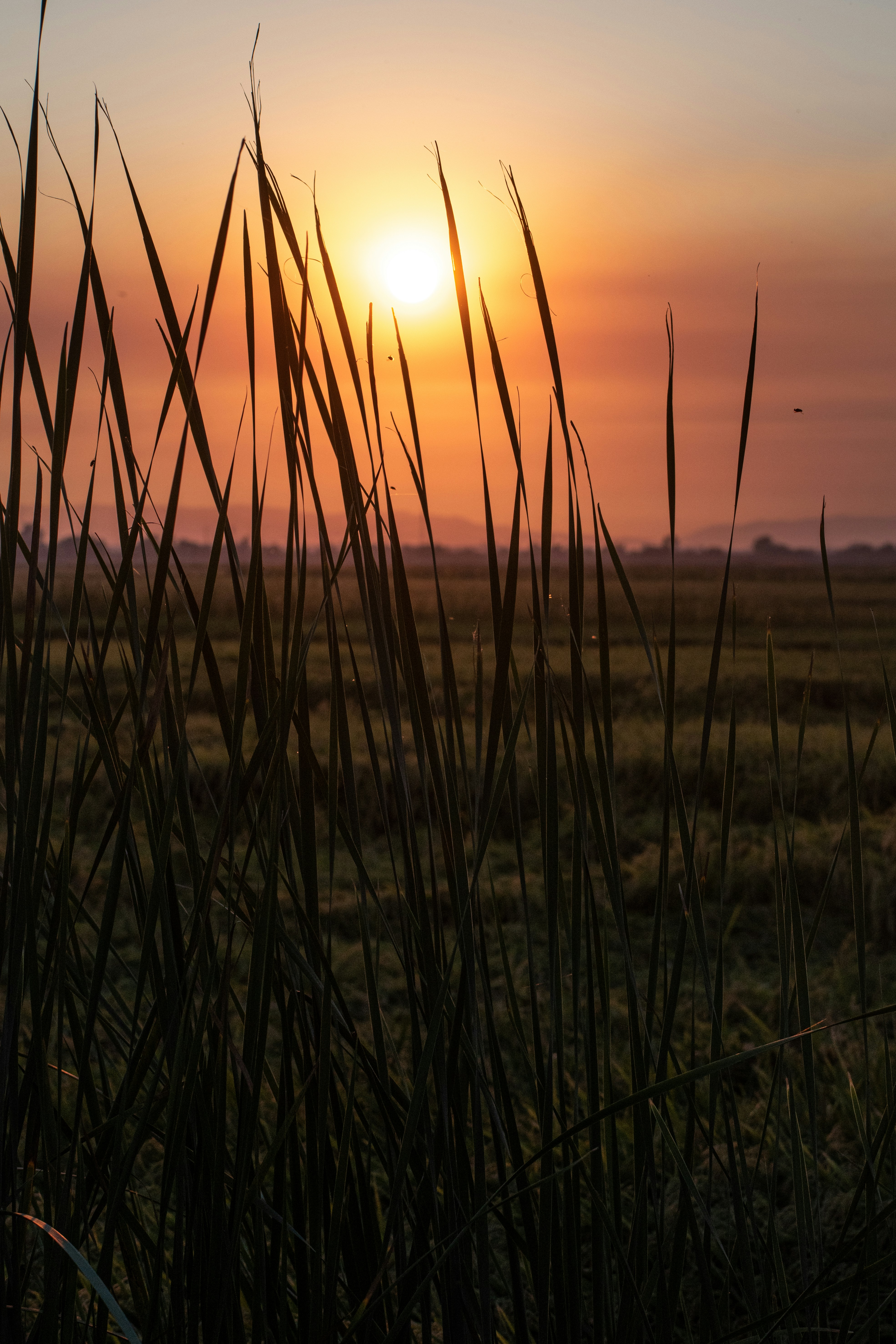 Photo by elisastonephotography