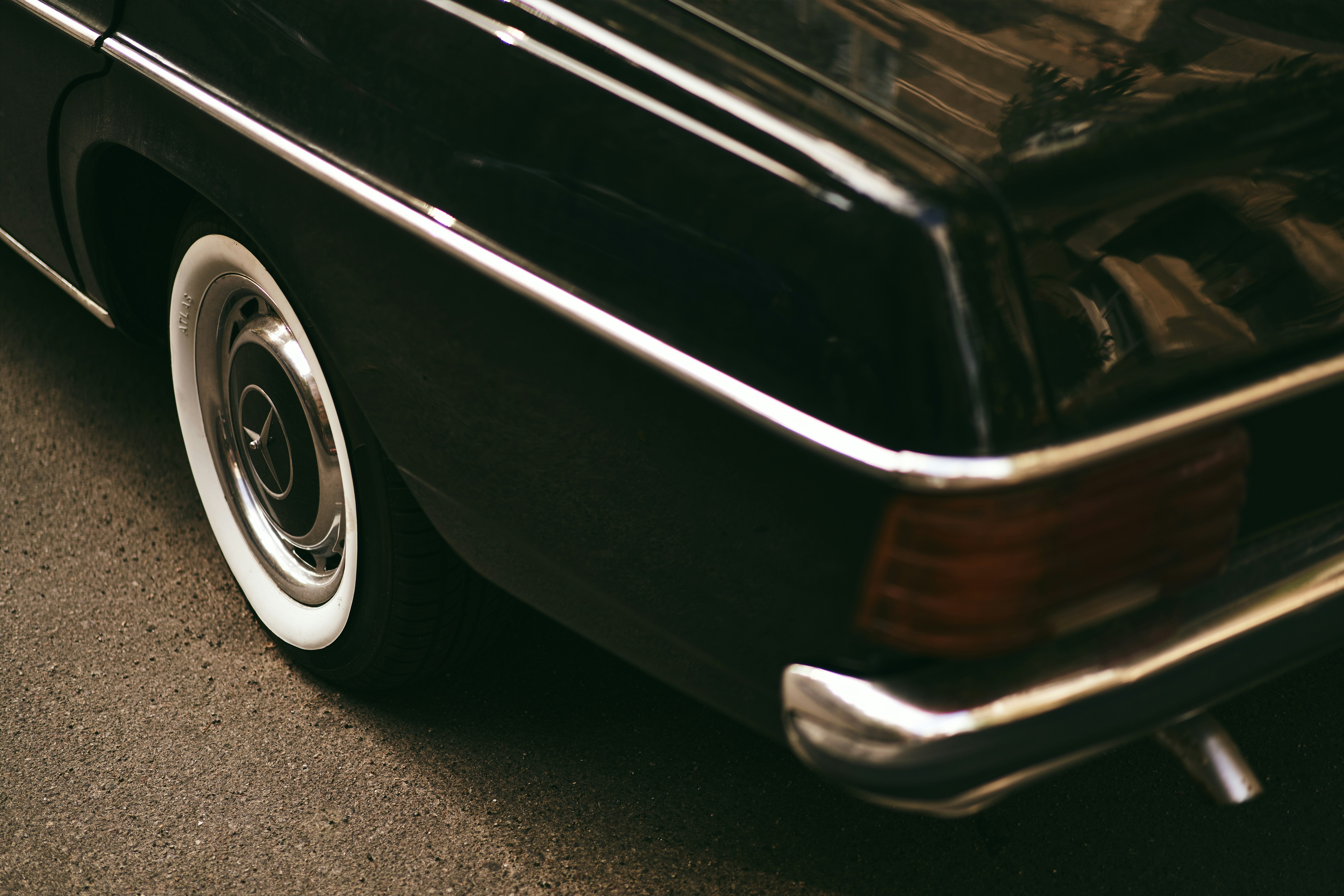 Photo by wonderland8