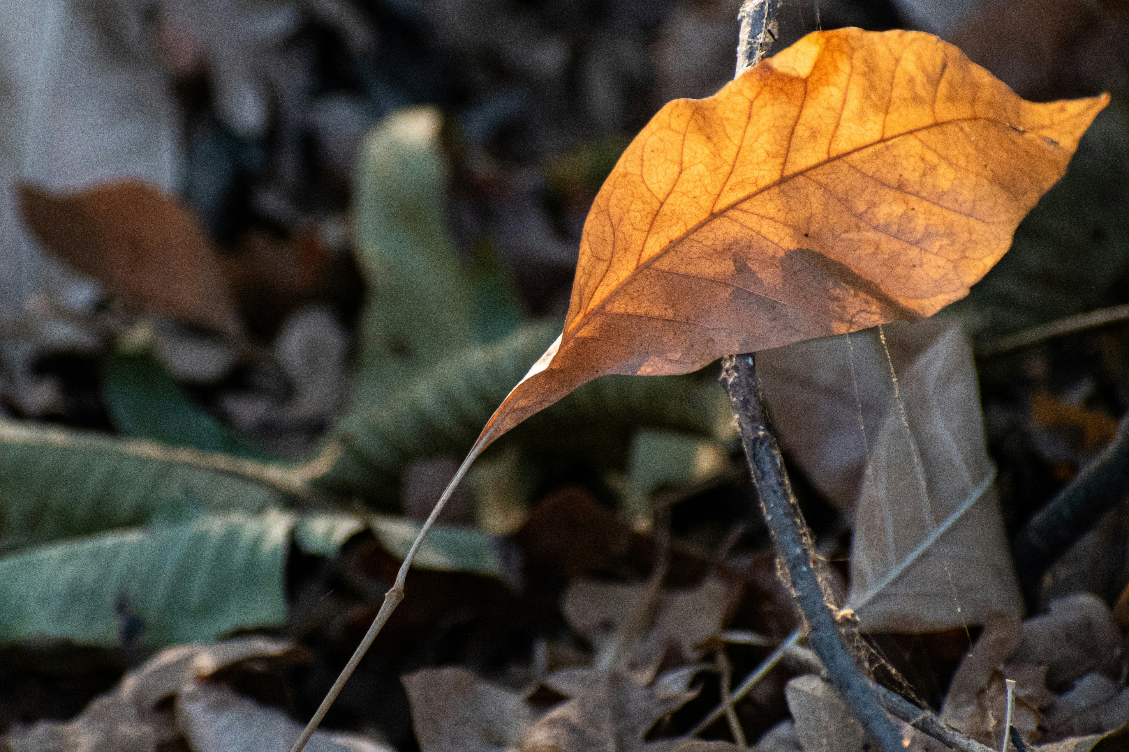 Photo by elisastonephotography