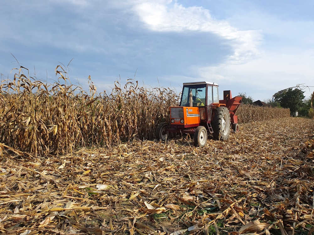 red and black tractor on brown field during daytime