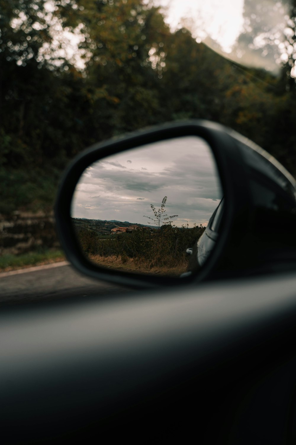 car side mirror showing brown grass field during daytime