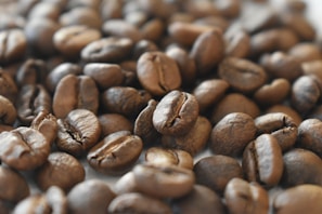 Close-up of selected coffee beans.