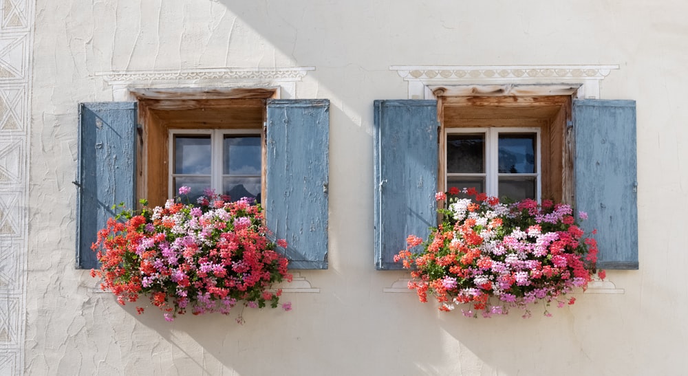 青い木製の窓にピンクと白の花