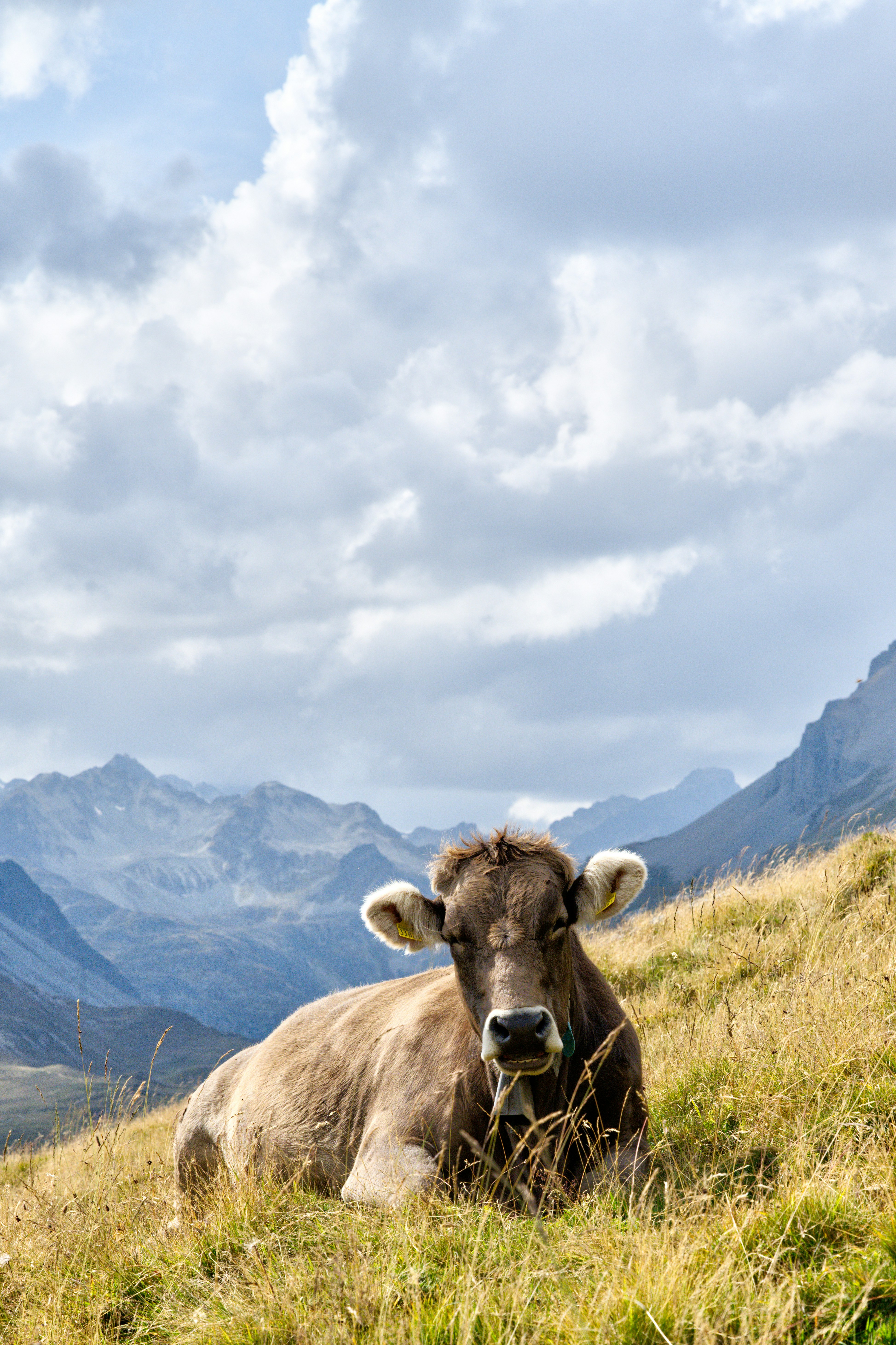Photo by jacquesbopp