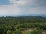 Wide view of lush oak trees under moody skies in the Extremadura dehesa