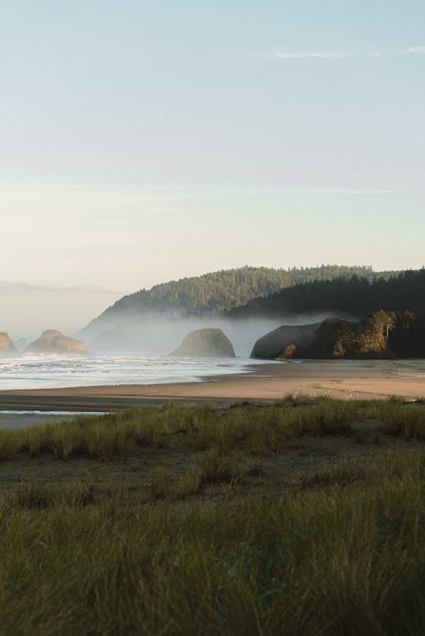 Ambalaje personalizate