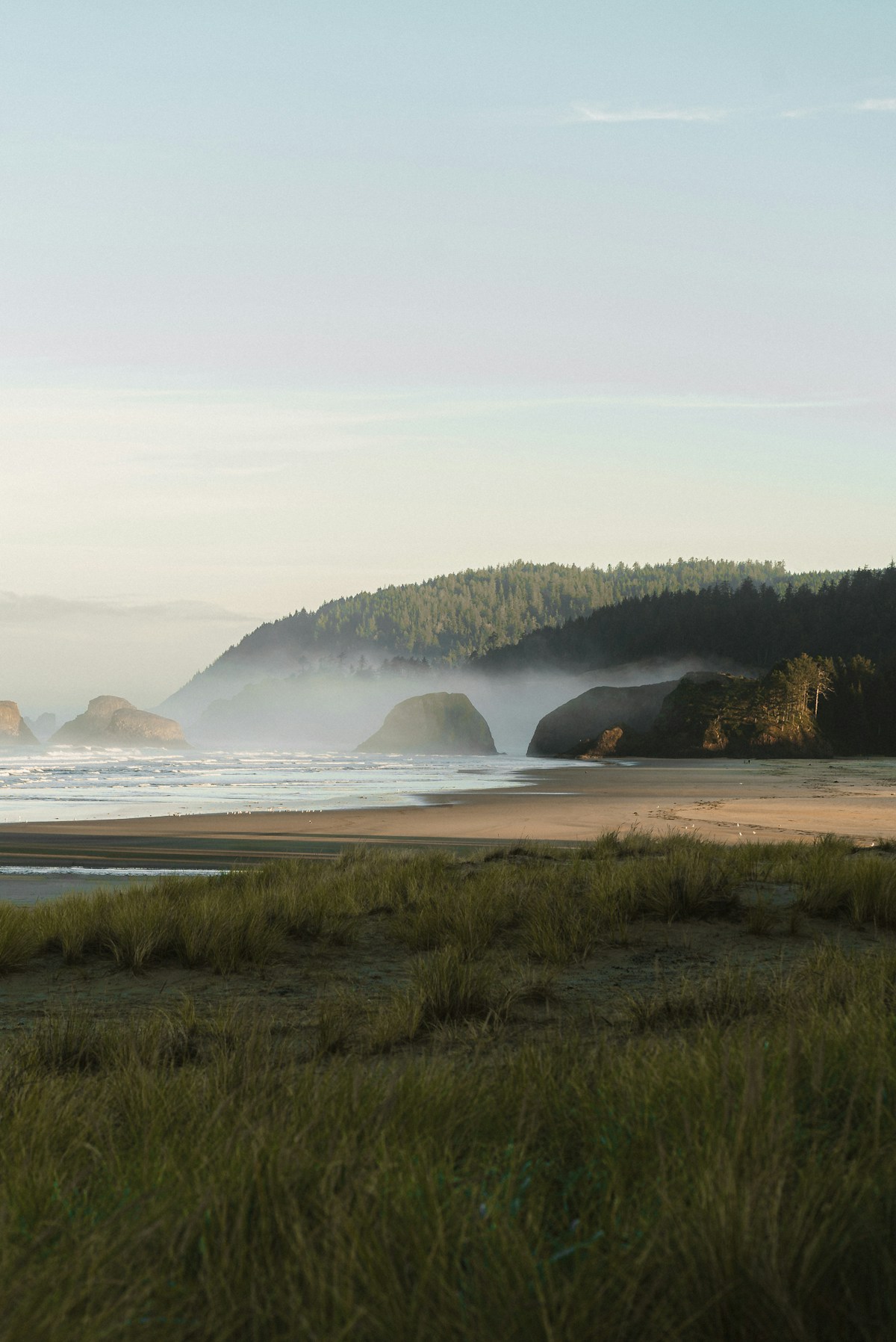 Ardbeg Unveils Dolce, a Marsala Cask-Aged Limited Edition Post feature image