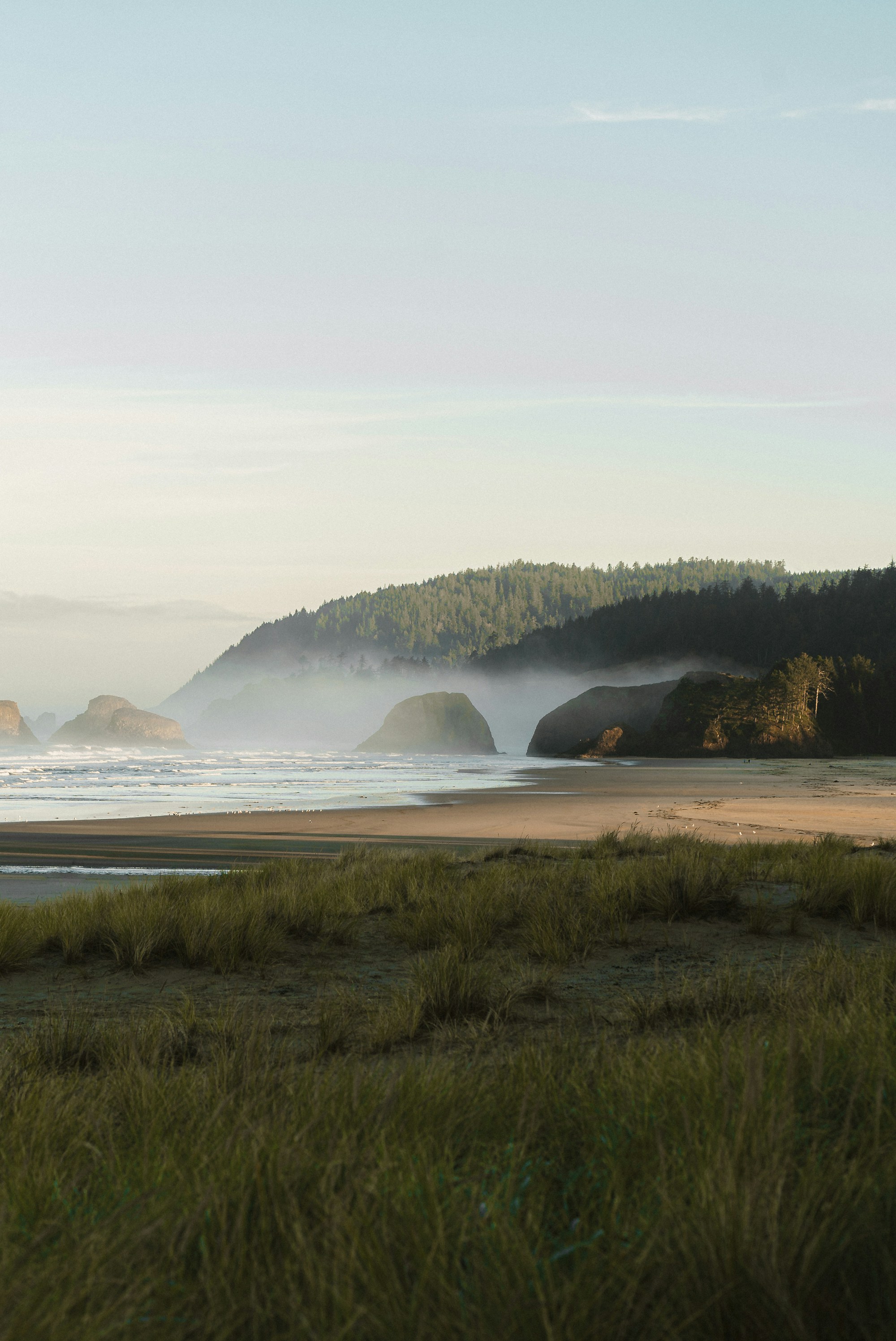 Ardbeg Unveils Dolce, a Marsala Cask-Aged Limited Edition Post image