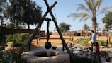 A traditional water well with a pulley system is set in a garden with palm trees and desert sand. A person in casual clothing stands nearby, observing the scenery. Various plants and flowers surround the area, and there are wooden structures in the background.