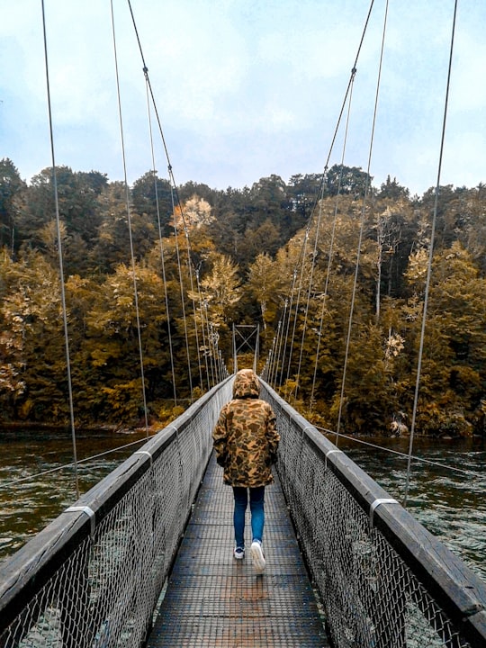 woman in blue shirt and blue denim jeans walking on hanging bridge in Kepler Track New Zealand