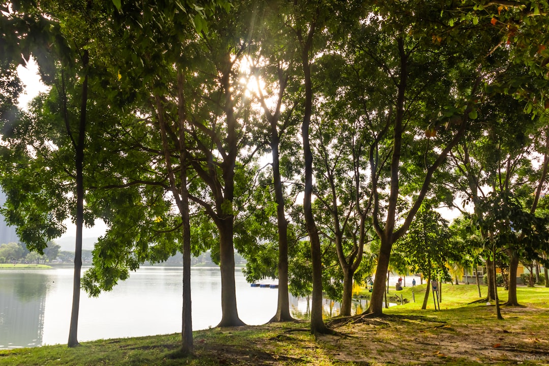 Nature reserve photo spot Kuala Lumpur Malaysia