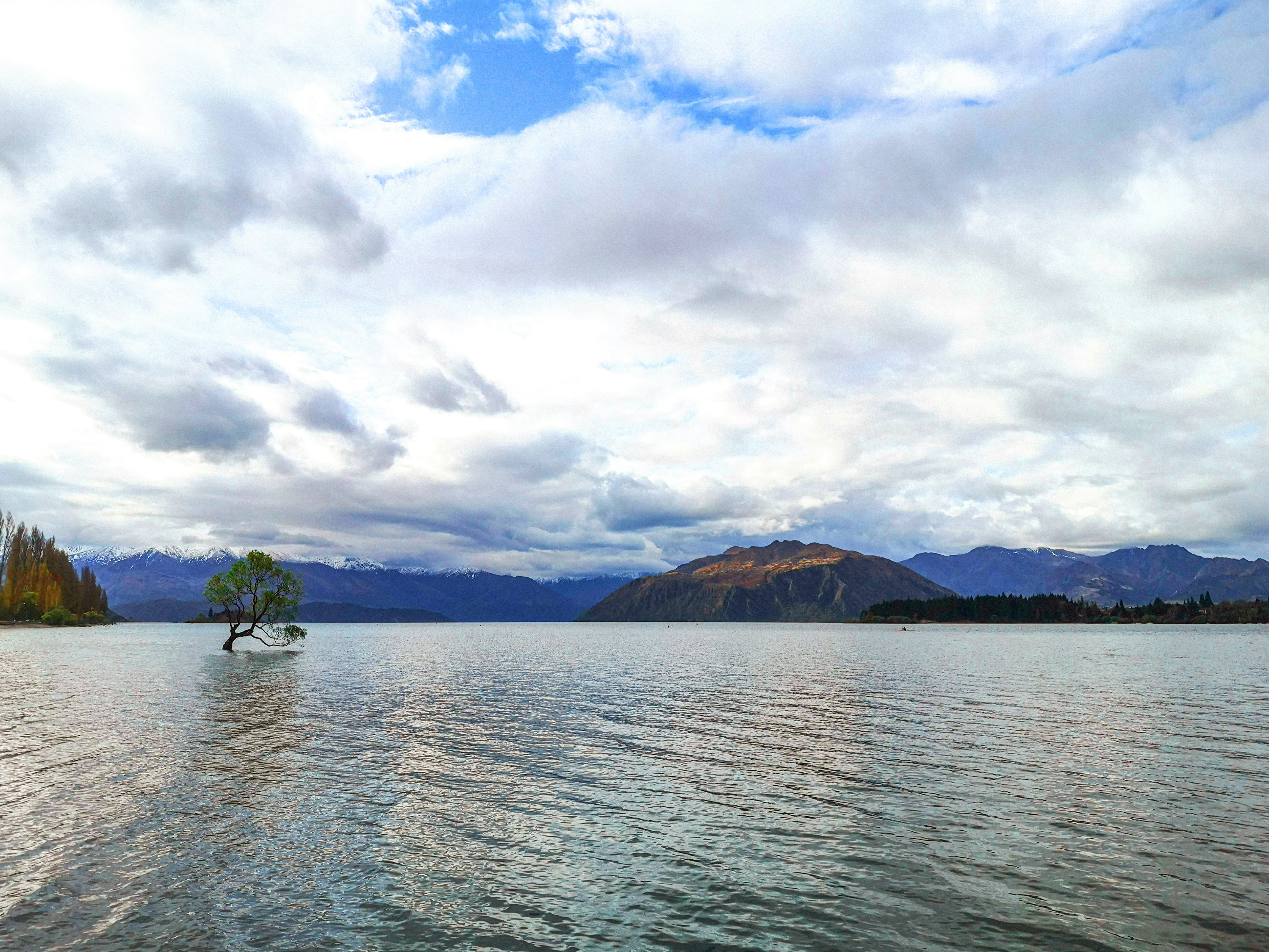 green trees on island surrounded by water under white clouds and blue sky during daytime