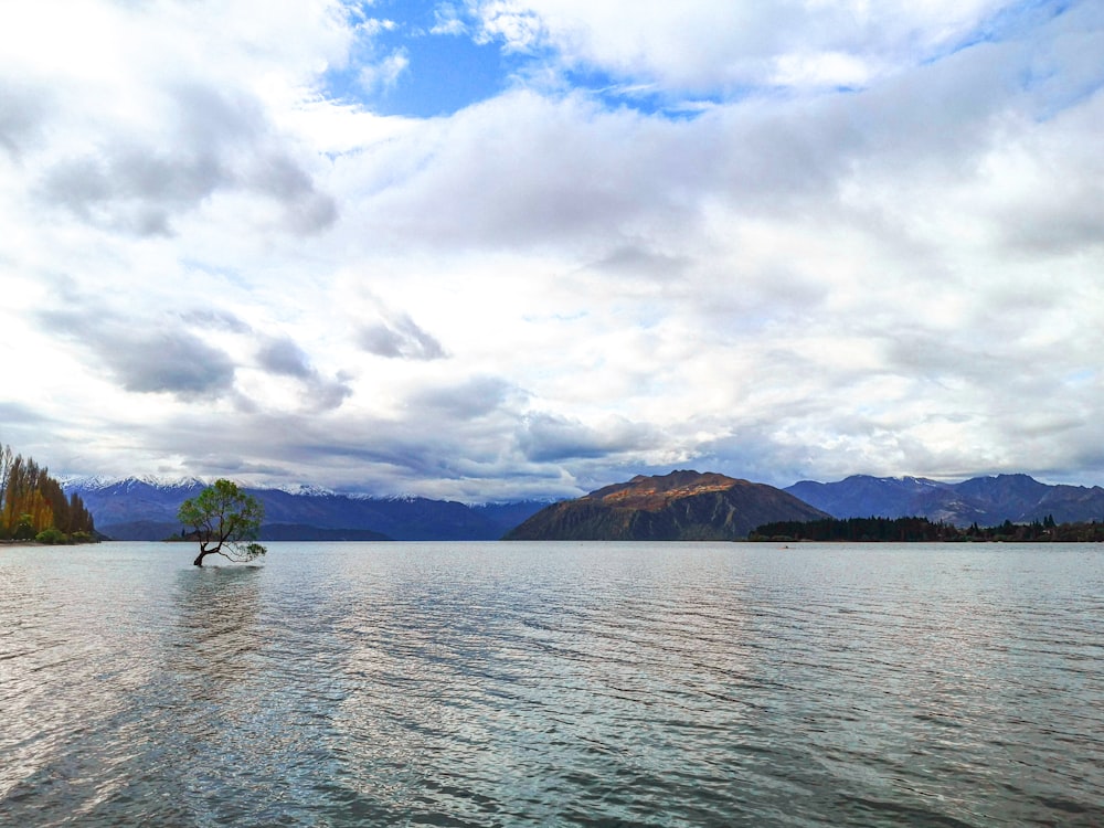 green trees on island surrounded by water under white clouds and blue sky during daytime