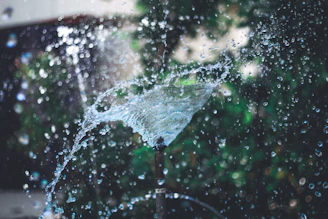 water falling from a tree branch