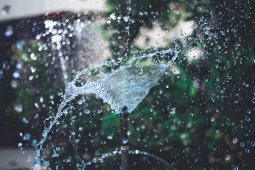 water falling from a tree branch
