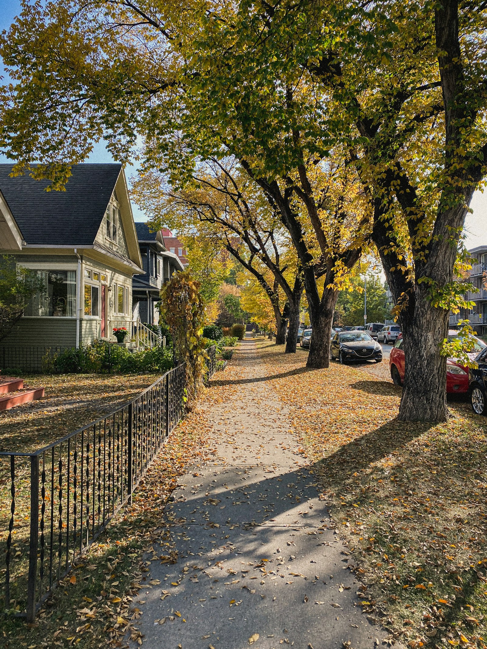 What’s the Outlook for Calgary’s Housing Market in 2025?