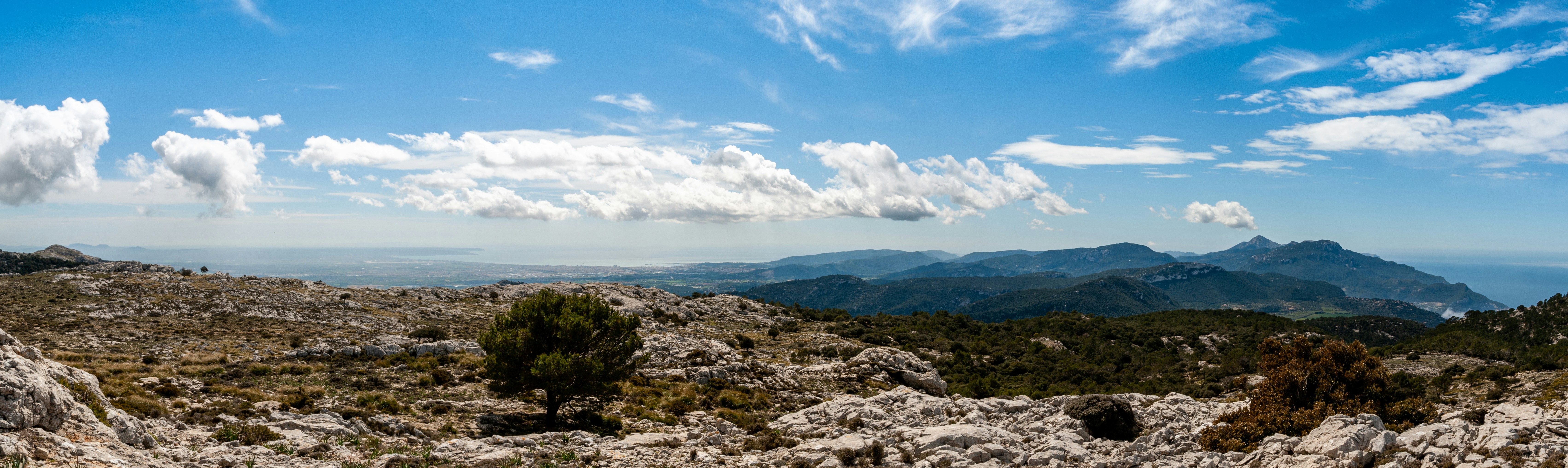 Photo by davidvives