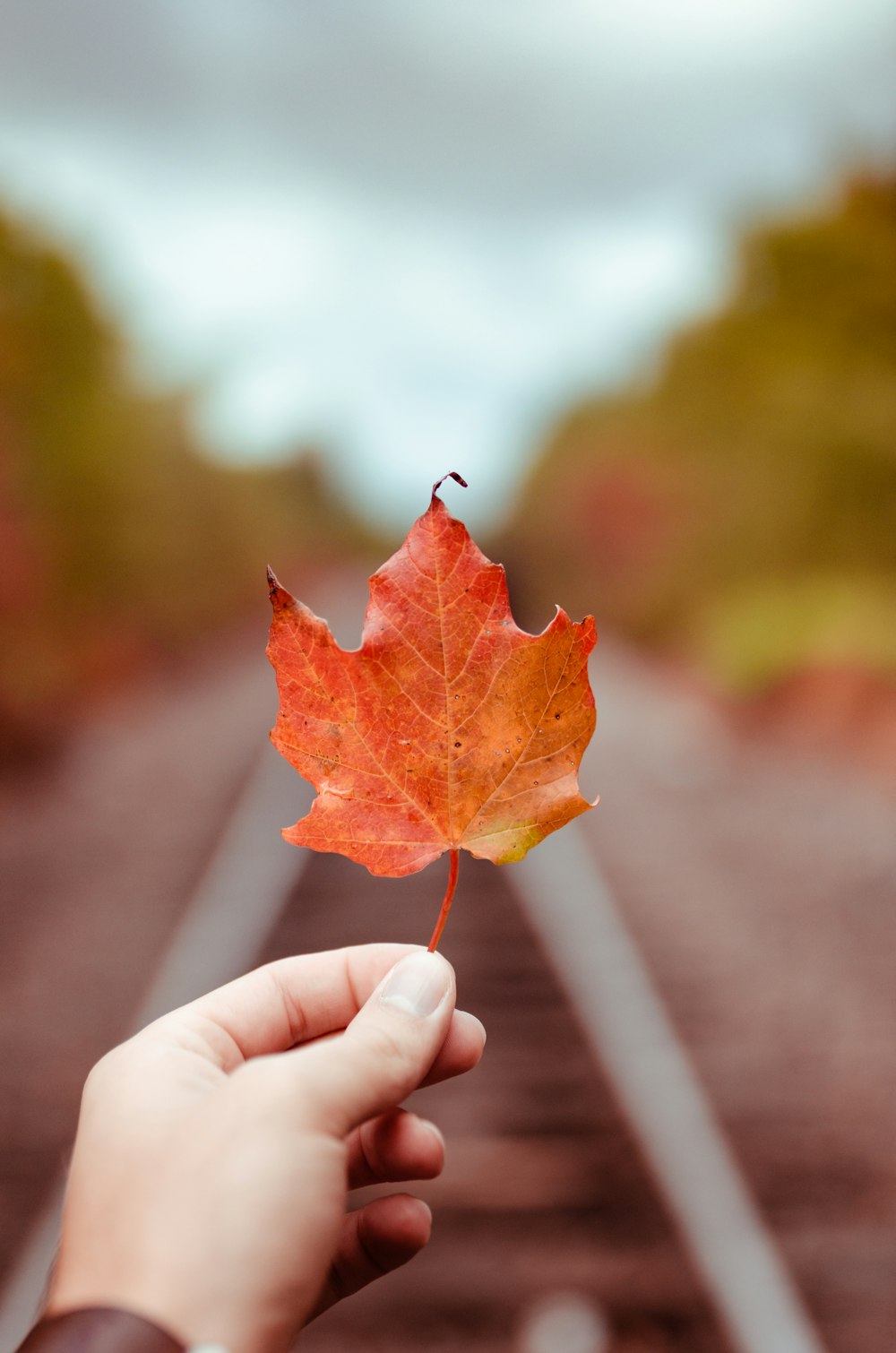 person holding orange maple leaf